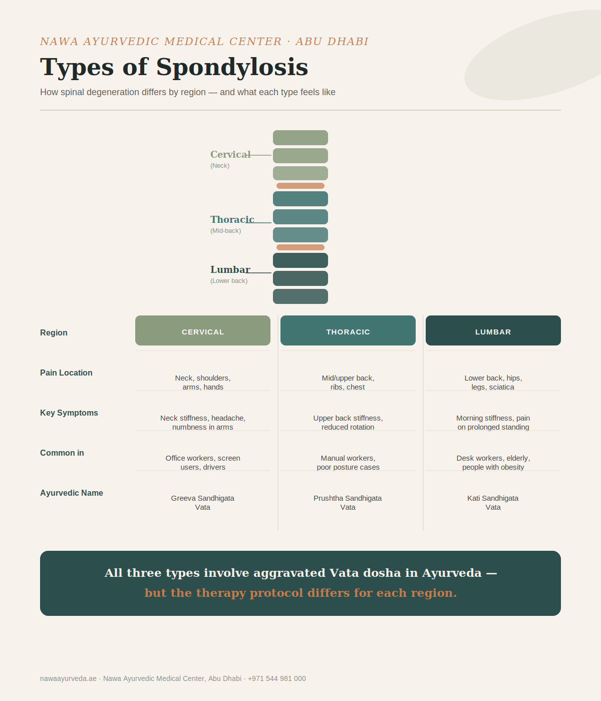 Infographic comparing cervical, thoracic and lumbar spondylosis by region, symptoms, who is commonly affected, and their Ayurvedic names